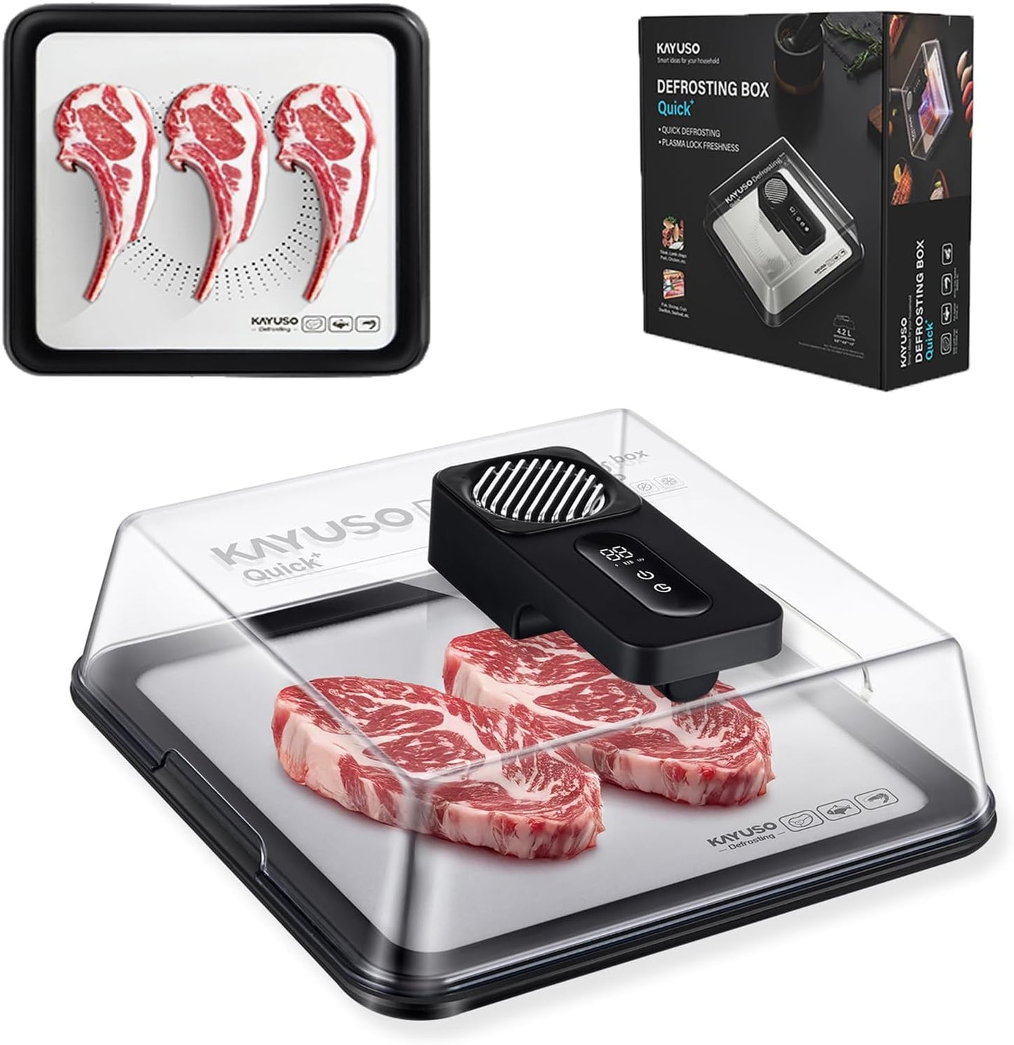 MISE Quick Defrosting Tray for Frozen Meat
