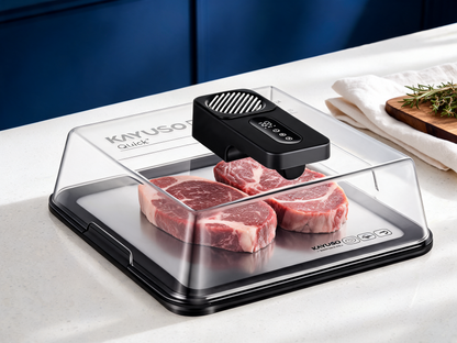 MISE Quick Defrosting Tray for Frozen Meat