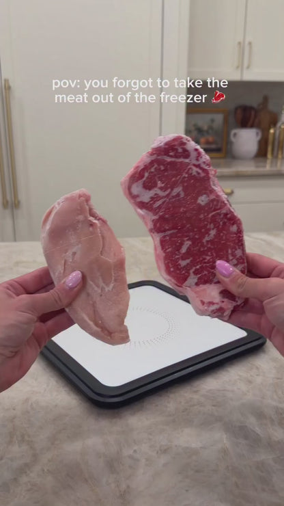MISE Quick Defrosting Tray for Frozen Meat